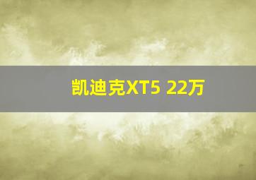 凯迪克XT5 22万